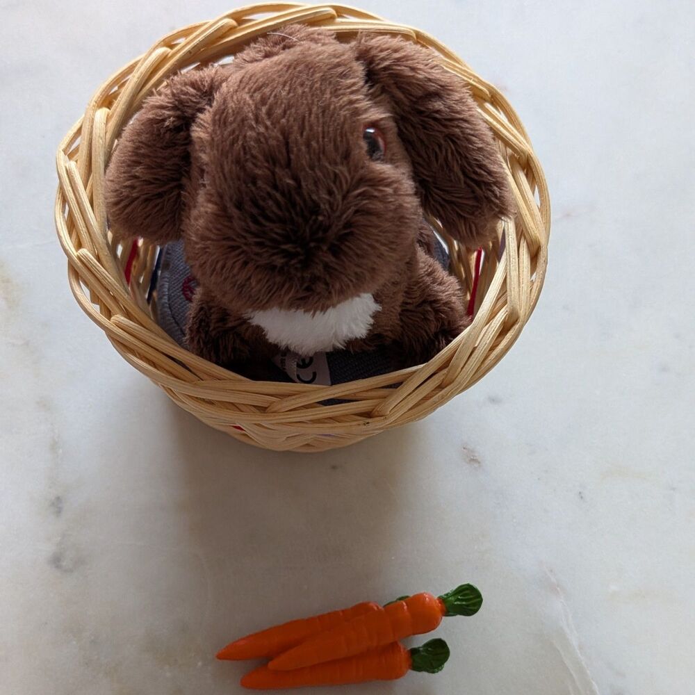 American Girl Julie's Nutmeg Brown Bunny on Mattress in Basket + Carrots